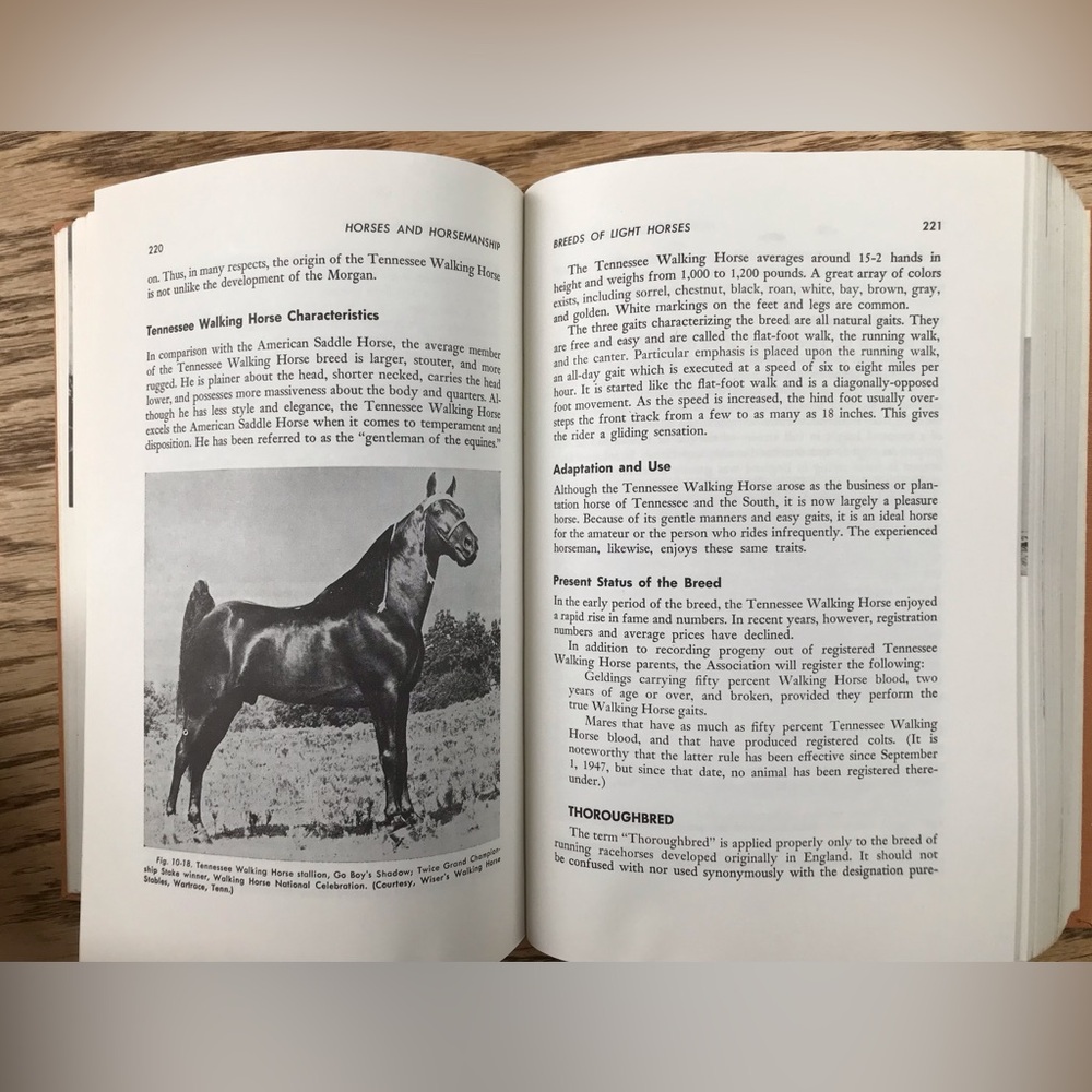 VTG Horses and Horsemanship Textbook - Picture 7 of 12